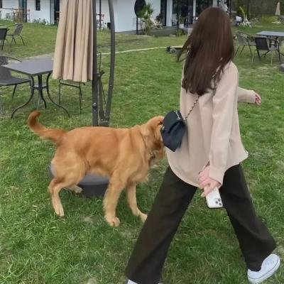 风控时分